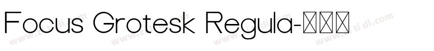 Focus Grotesk Regula字体转换 Focus Grotesk Regula字体转换